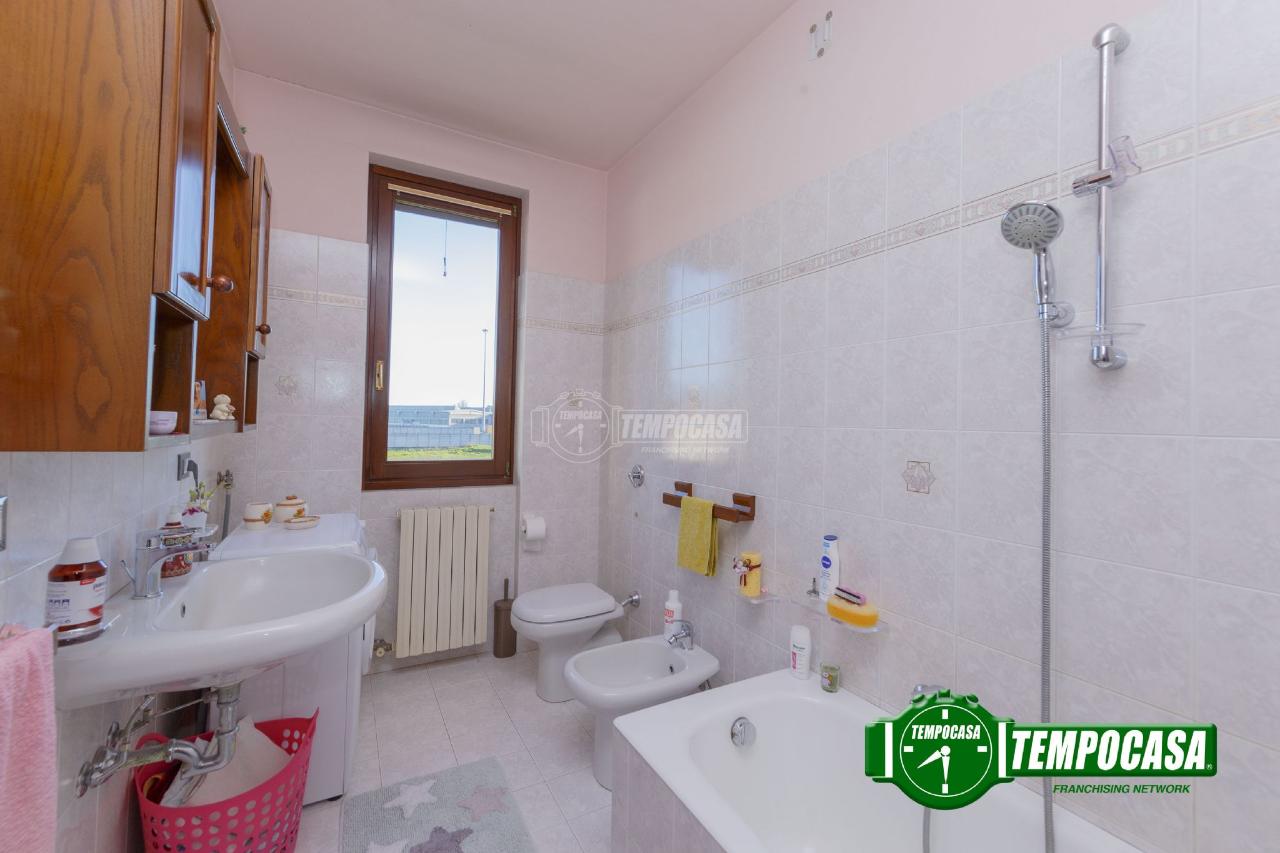 immagine annuncio 9 di 14