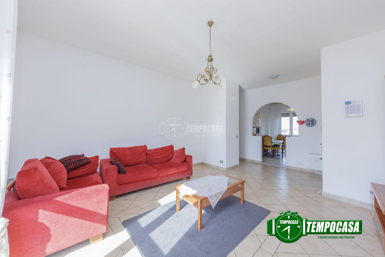 immagine annuncio 3 di 12