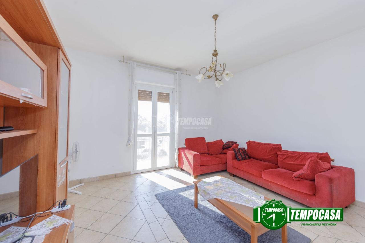 immagine annuncio 4 di 12