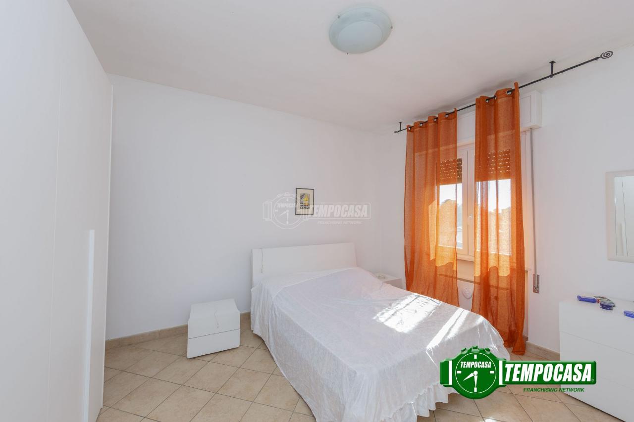 immagine annuncio 9 di 12