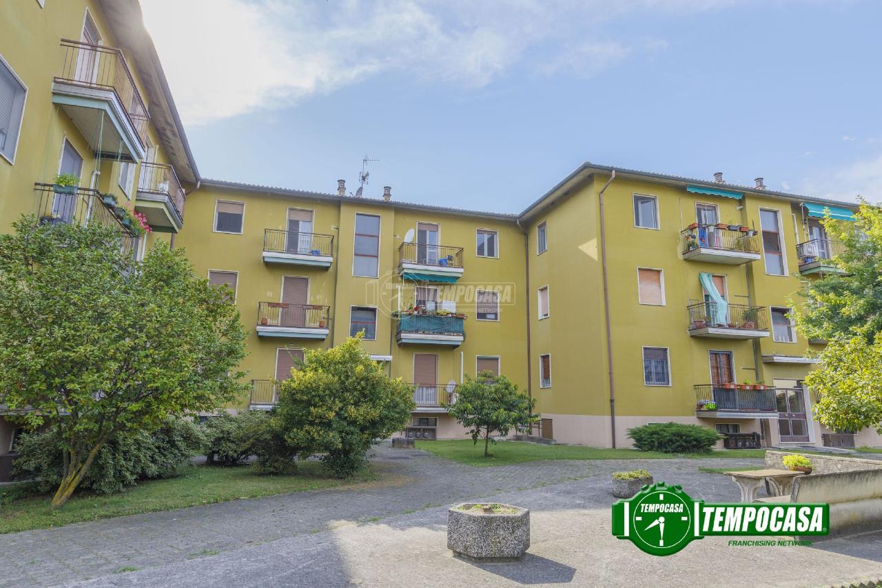 immagine annuncio 1 di 12