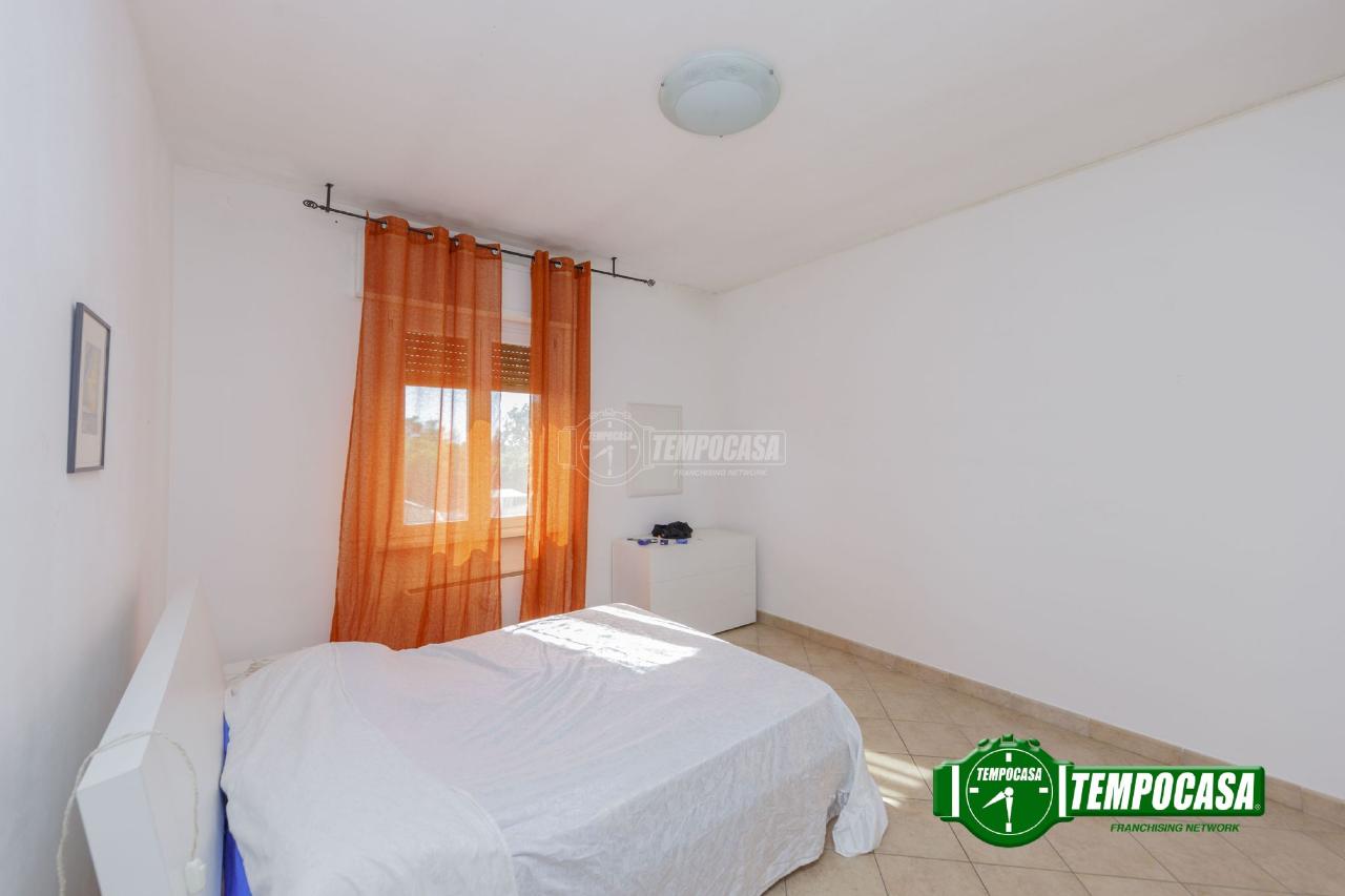 immagine annuncio 8 di 12