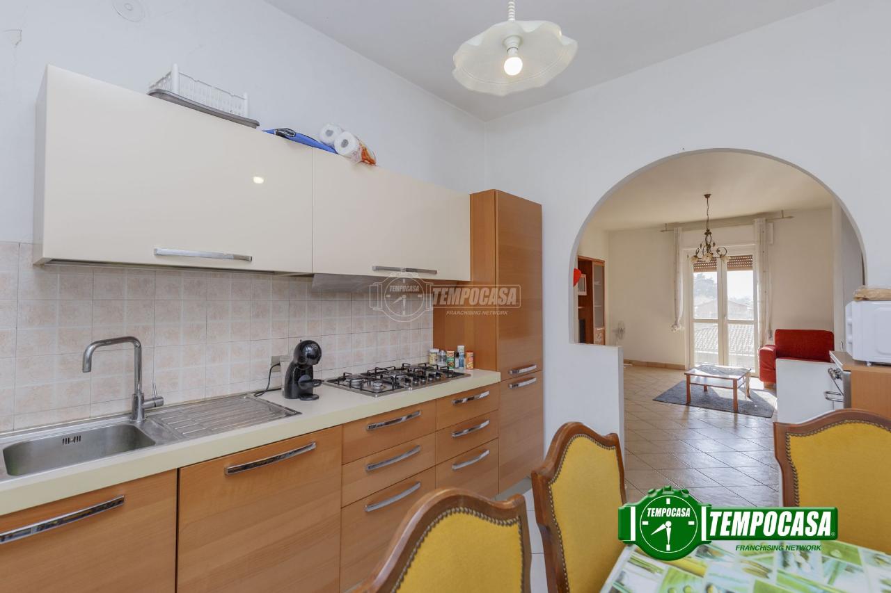 immagine annuncio 6 di 12