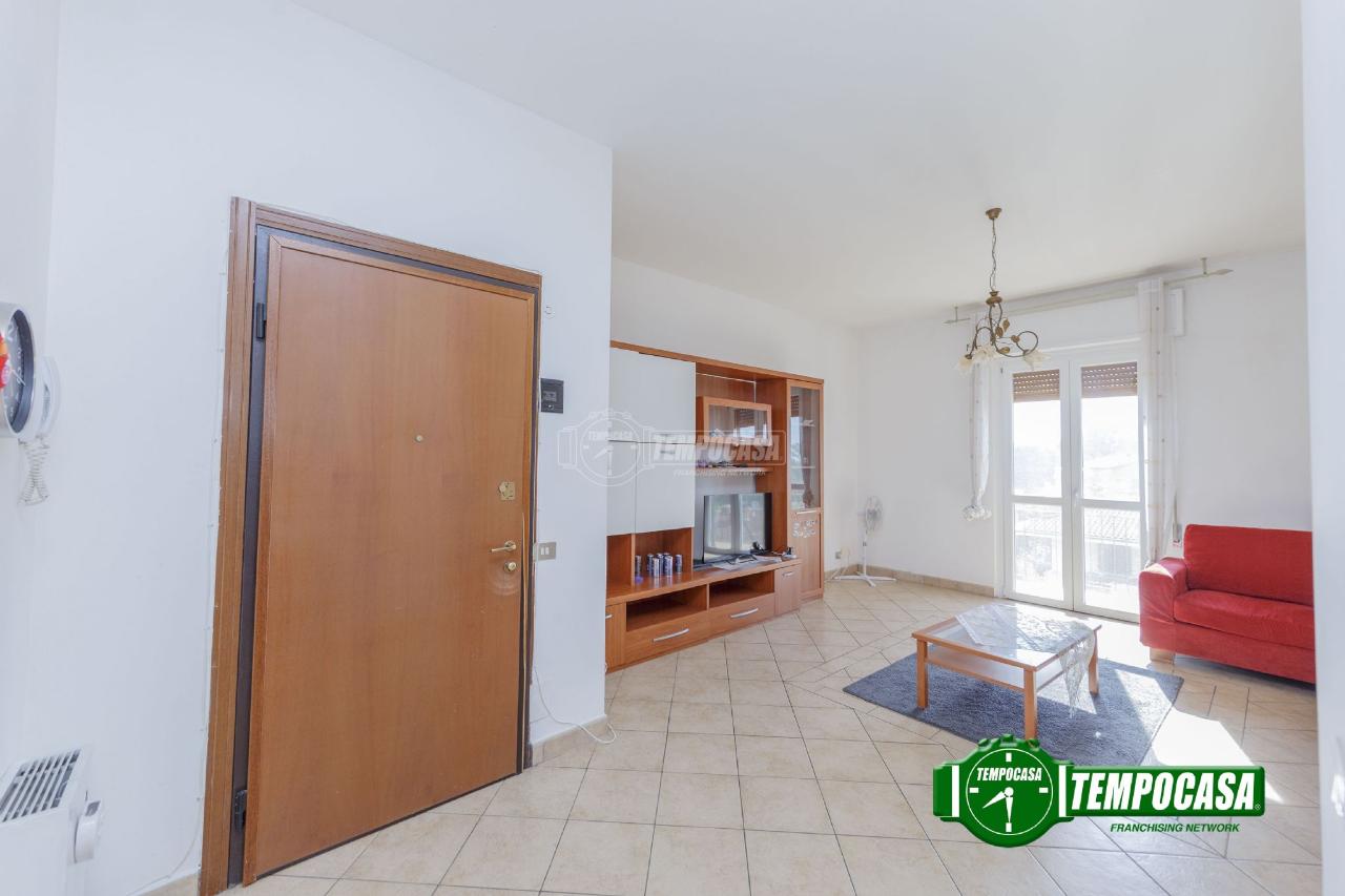 immagine annuncio 2 di 12