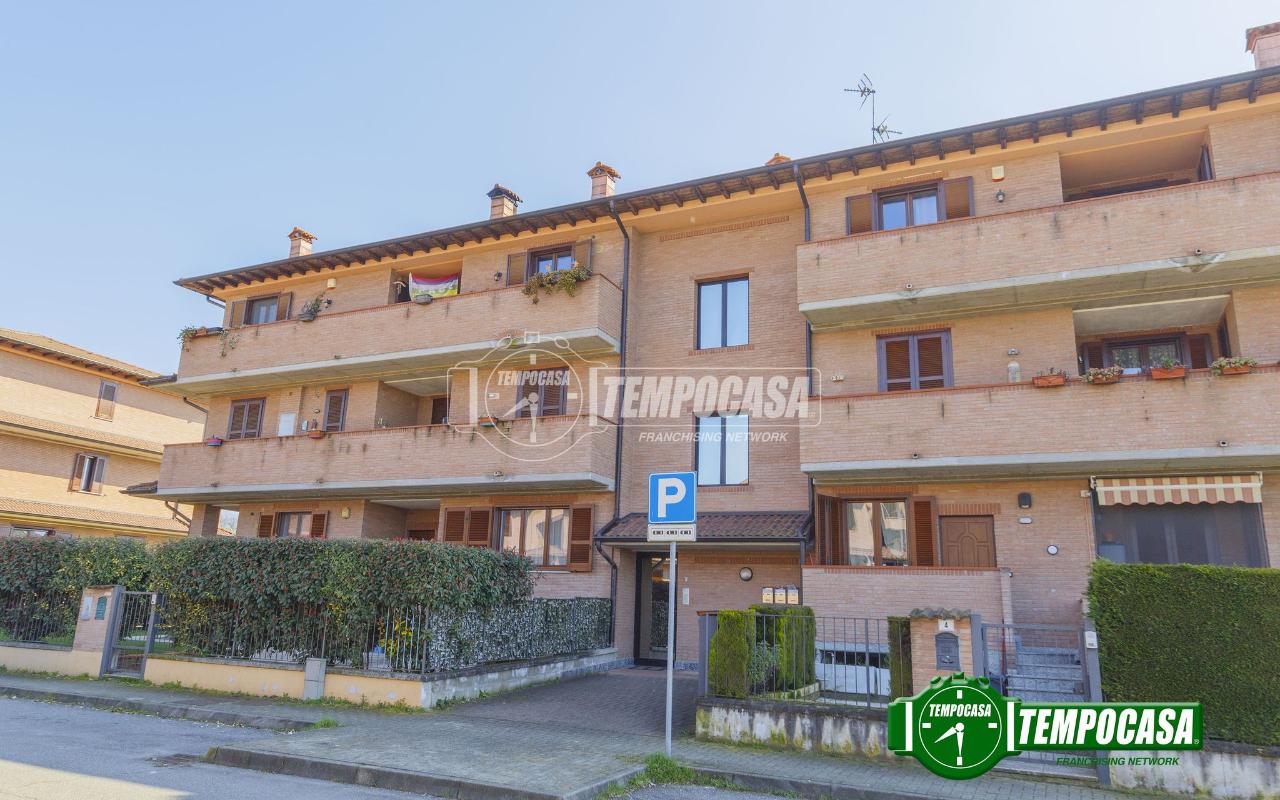 immagine annuncio 3 di 13