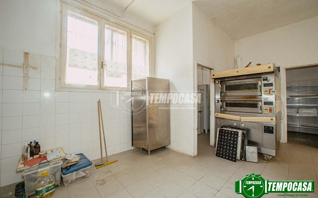 immagine annuncio 11 di 13