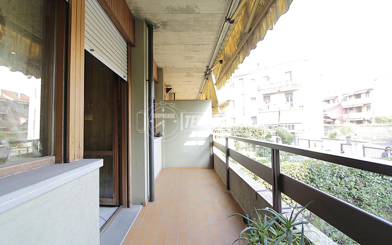 immagine annuncio 7 di 15