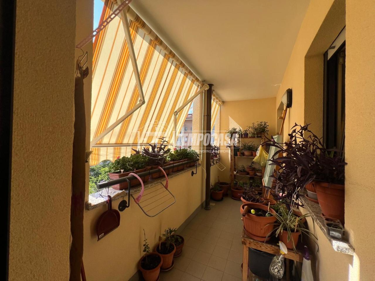immagine annuncio 6 di 12