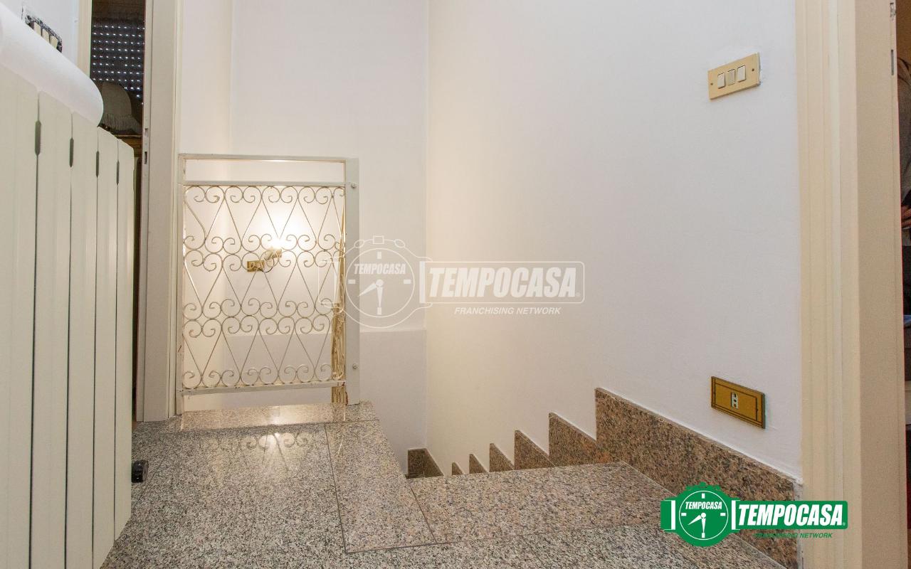 immagine annuncio 6 di 14