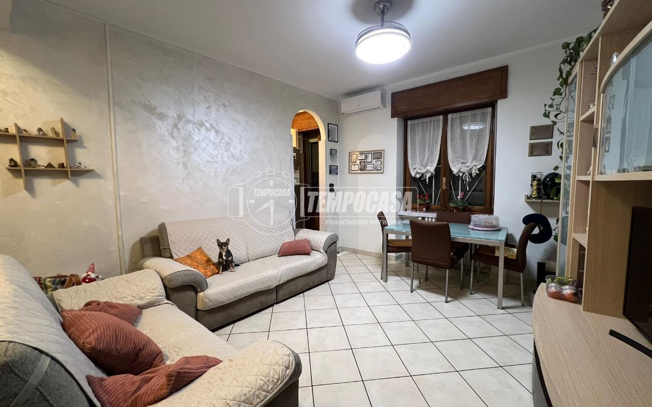 immagine annuncio 1 di 8