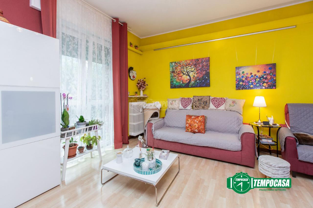 immagine annuncio 6 di 15