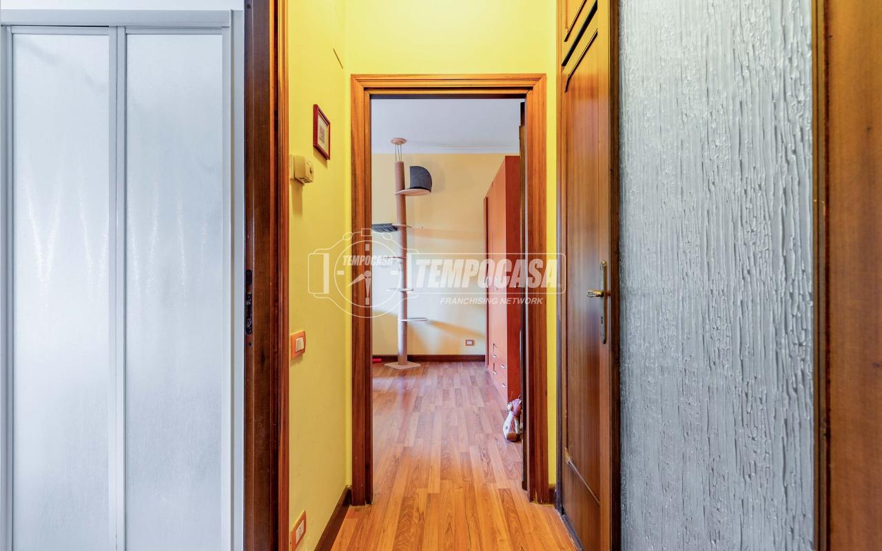 immagine annuncio 9 di 14