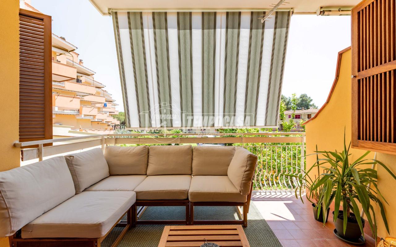 immagine annuncio 12 di 14