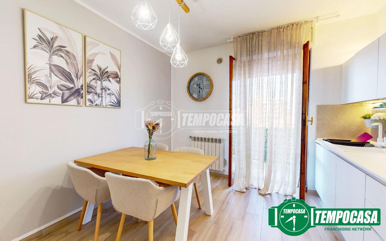 immagine annuncio 3 di 14