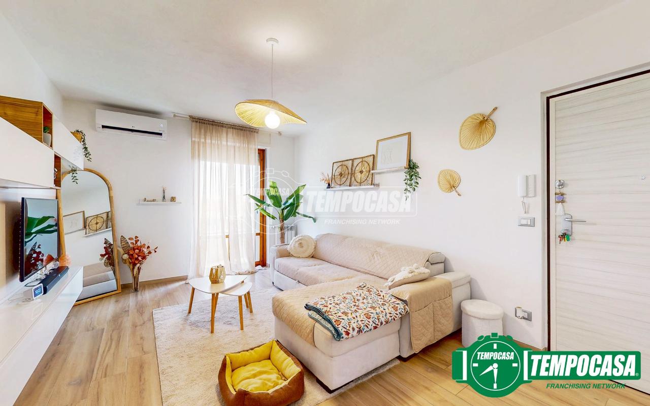 immagine annuncio 1 di 14