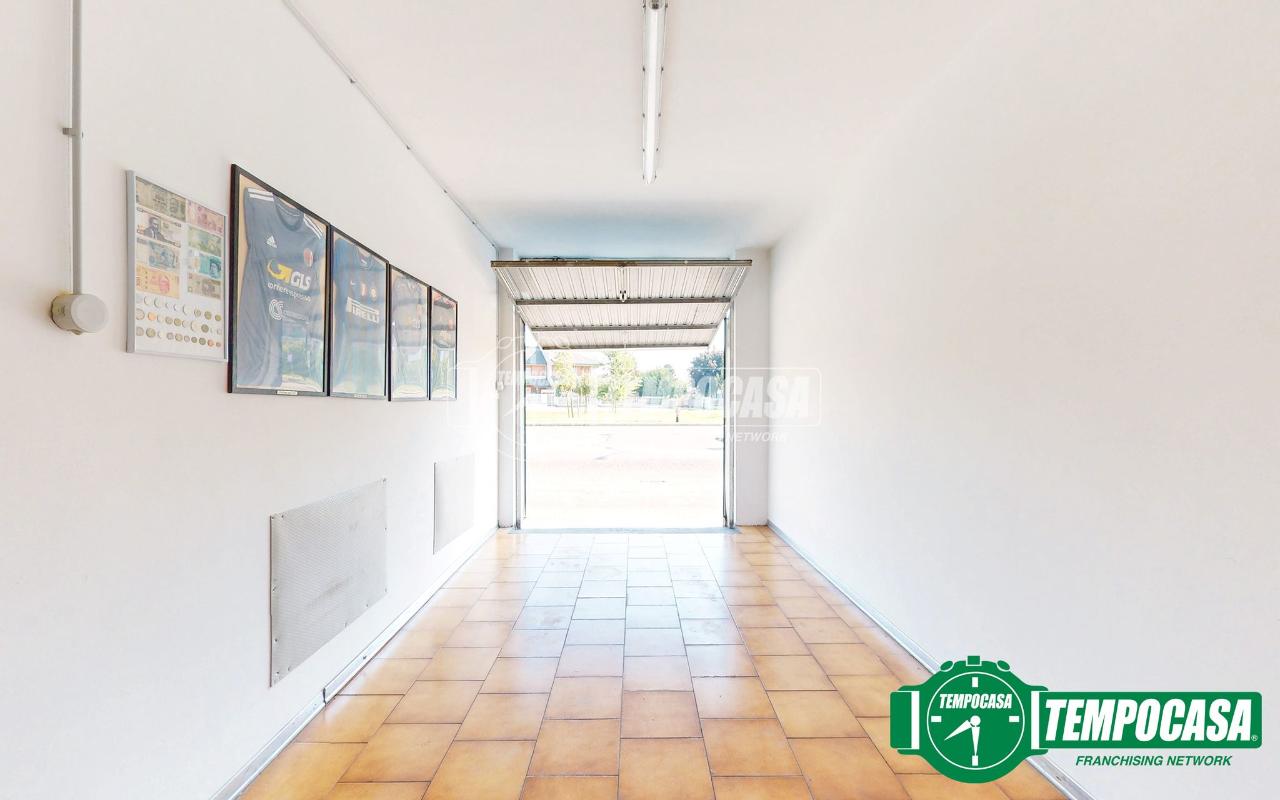 immagine annuncio 12 di 14