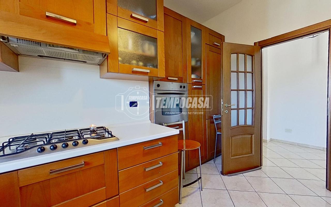 immagine annuncio 9 di 15