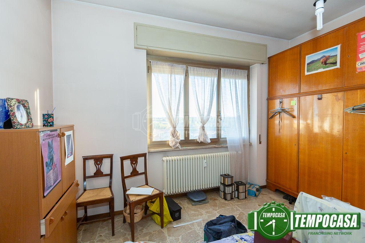 immagine annuncio 10 di 14