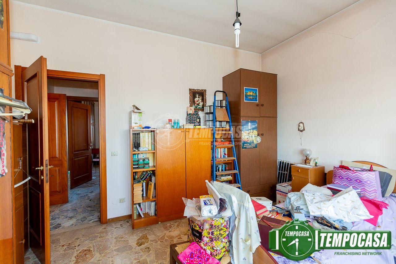 immagine annuncio 9 di 14
