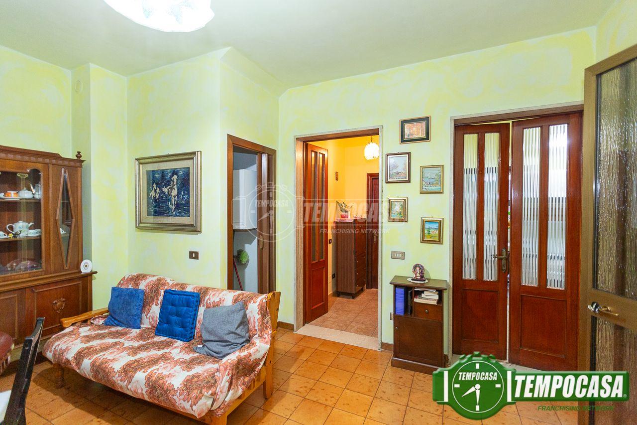 immagine annuncio 12 di 14