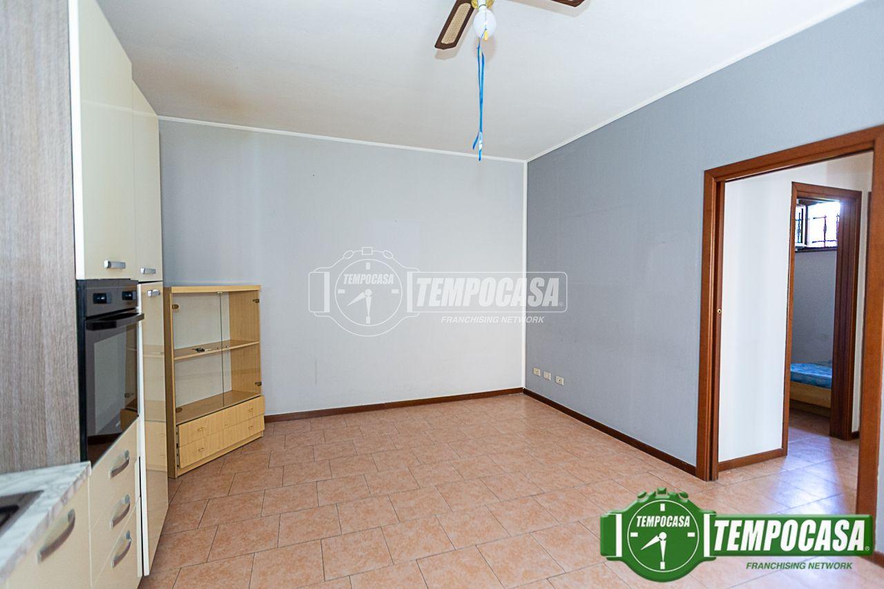 immagine annuncio 1 di 12