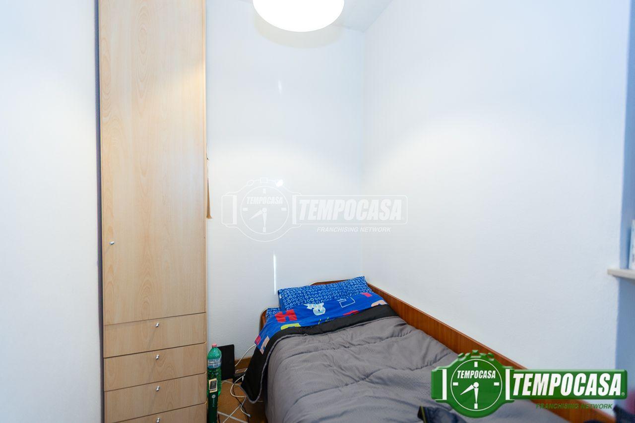 immagine annuncio 7 di 14