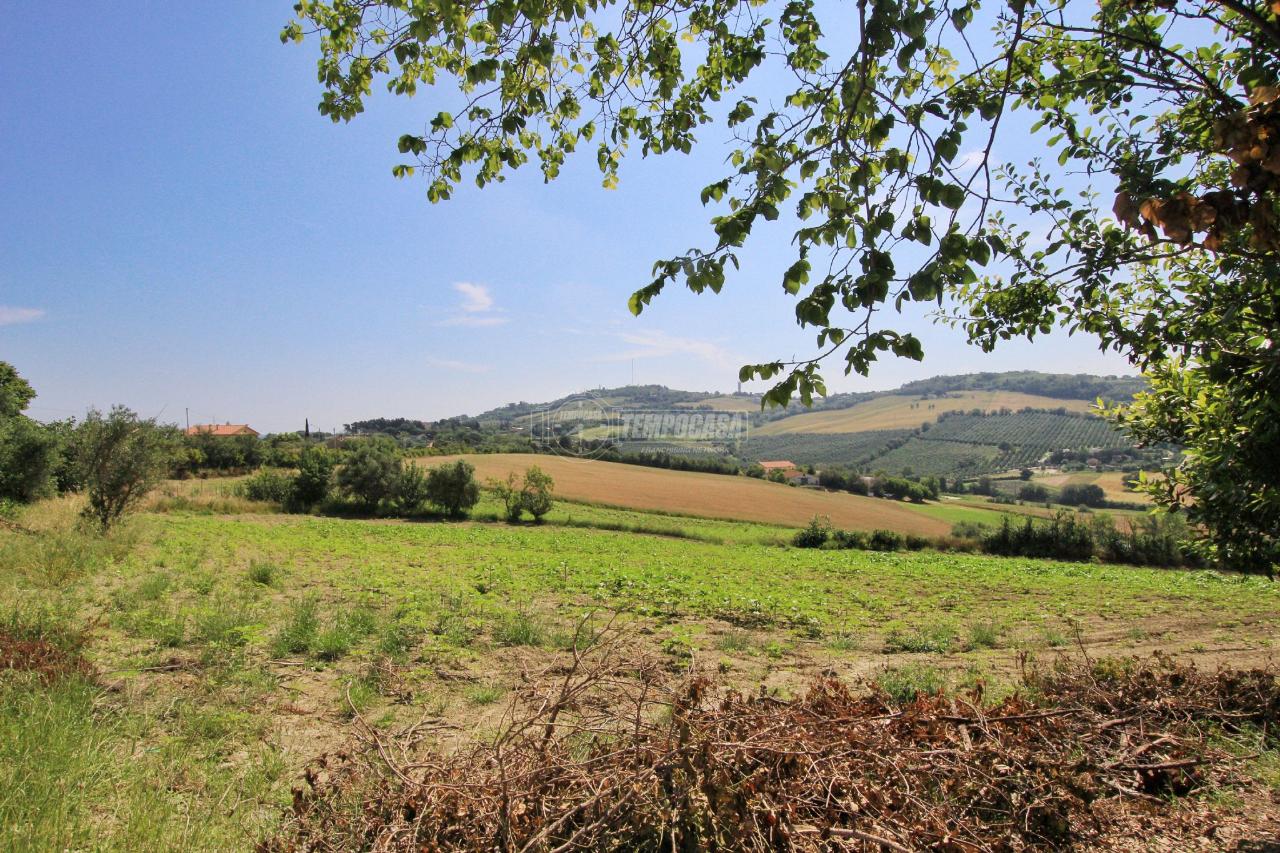 Terreno agricolo in vendita a Ancona