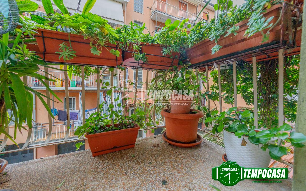 immagine annuncio 5 di 13