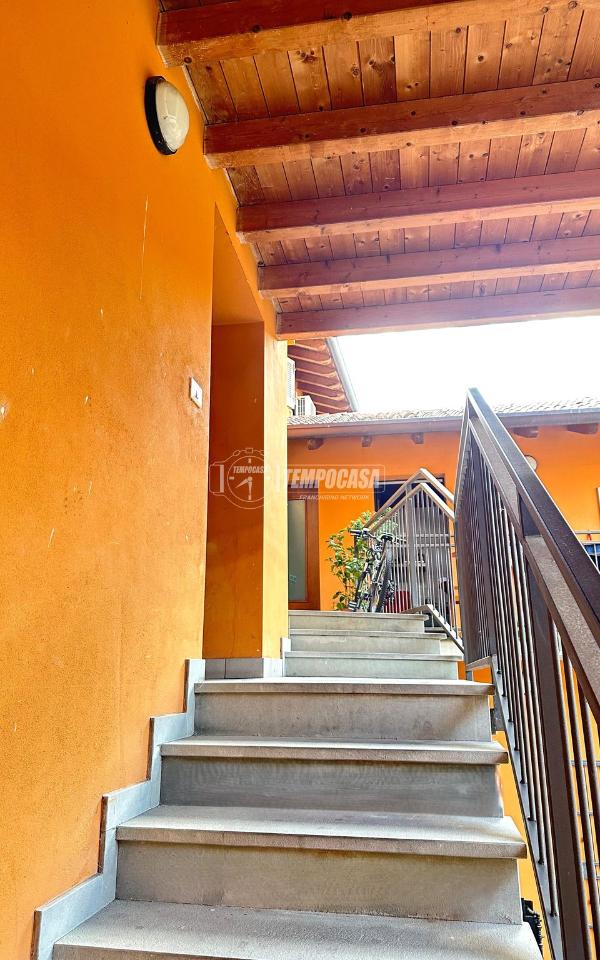 immagine annuncio 11 di 14