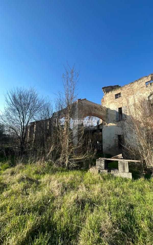 immagine annuncio 3 di 14