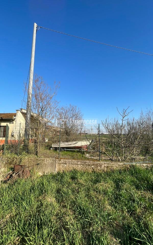 immagine annuncio 1 di 14