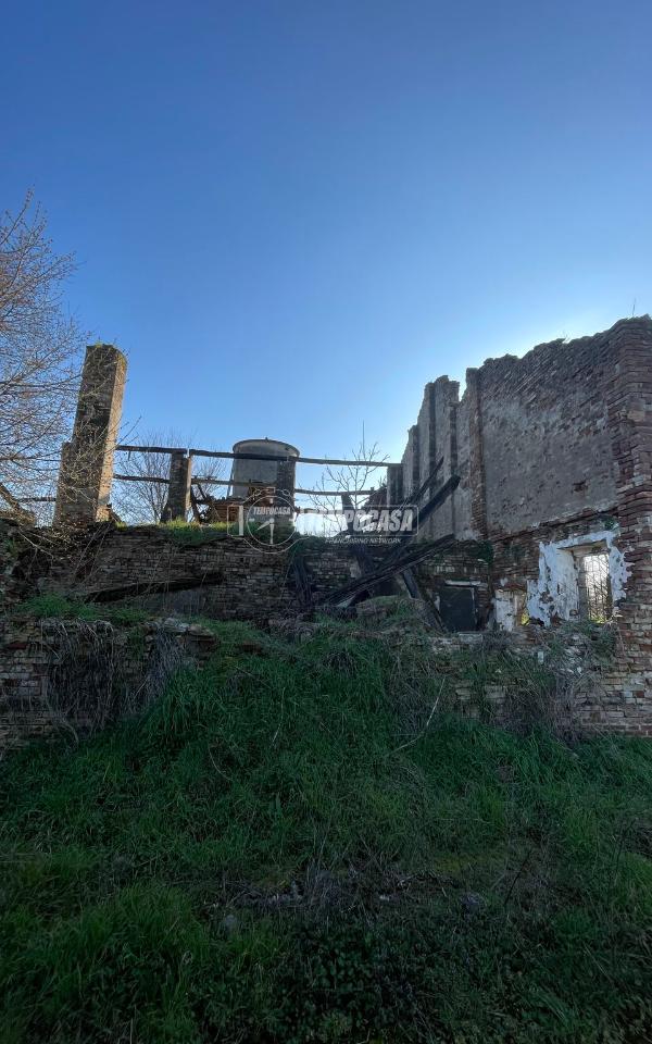 immagine annuncio 7 di 14