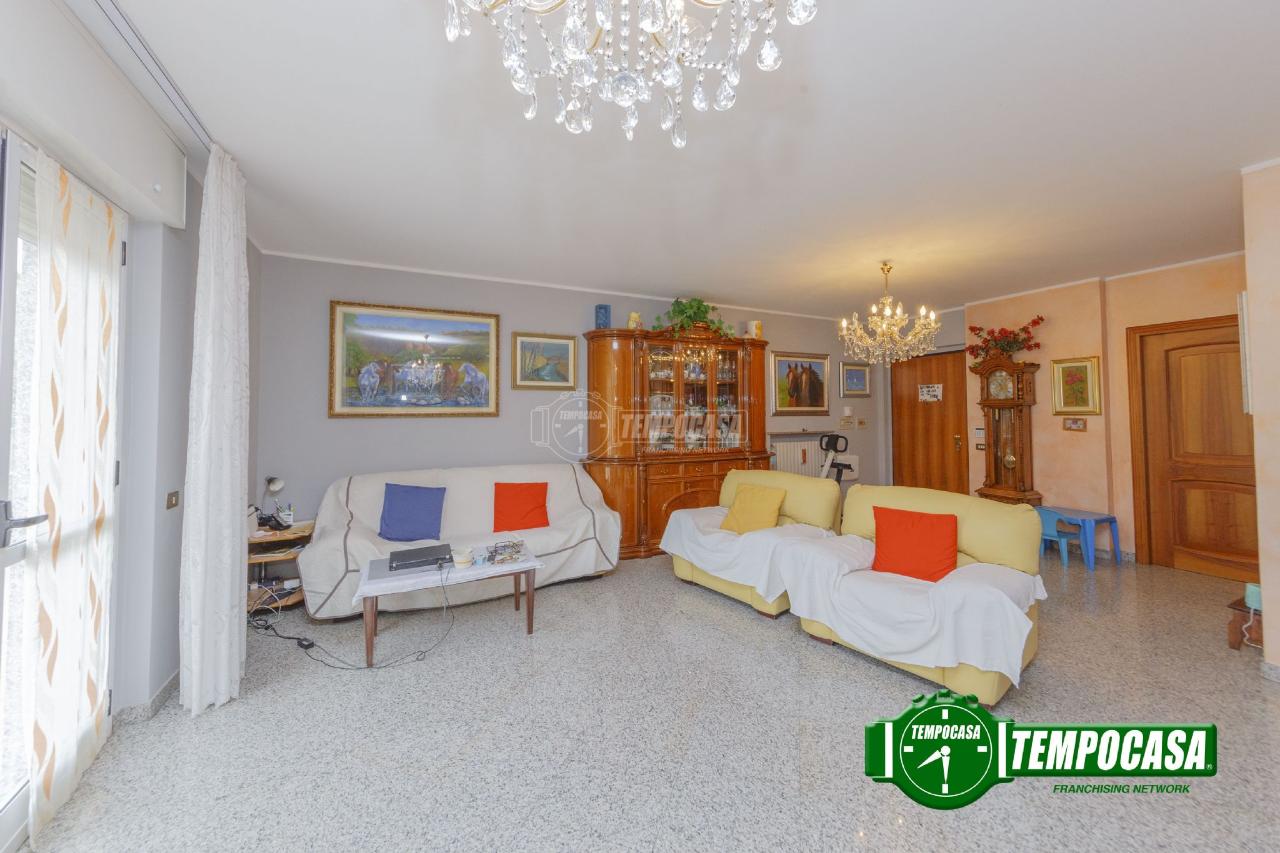 immagine annuncio 3 di 11