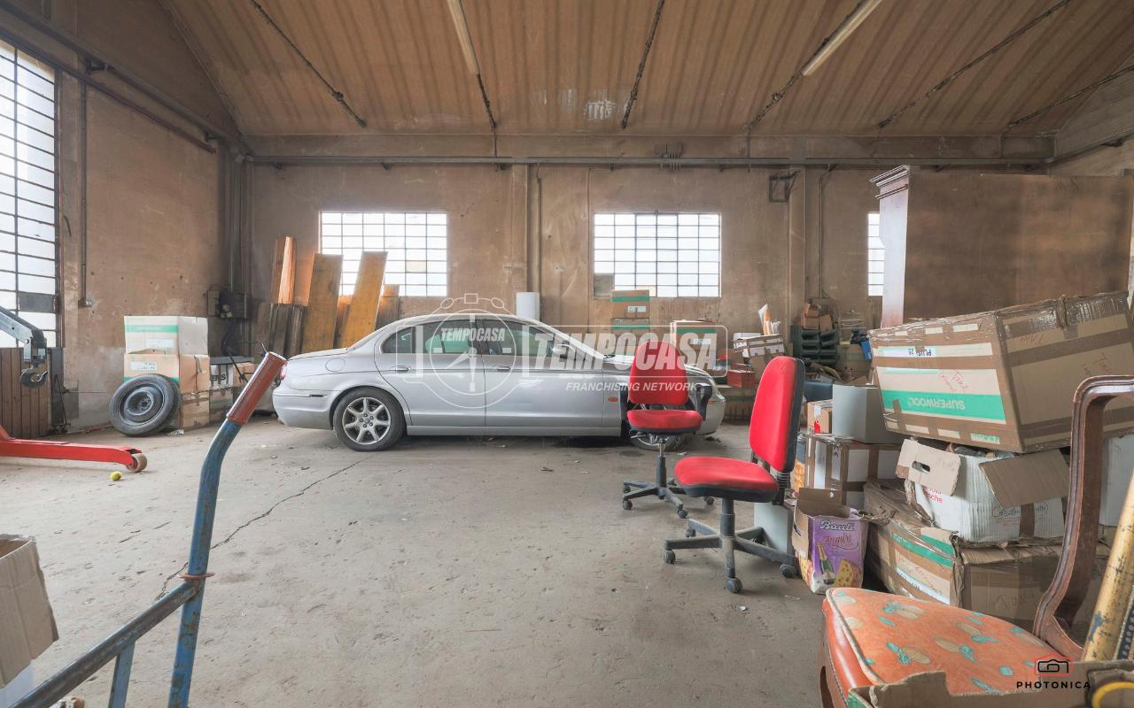 immagine annuncio 5 di 15