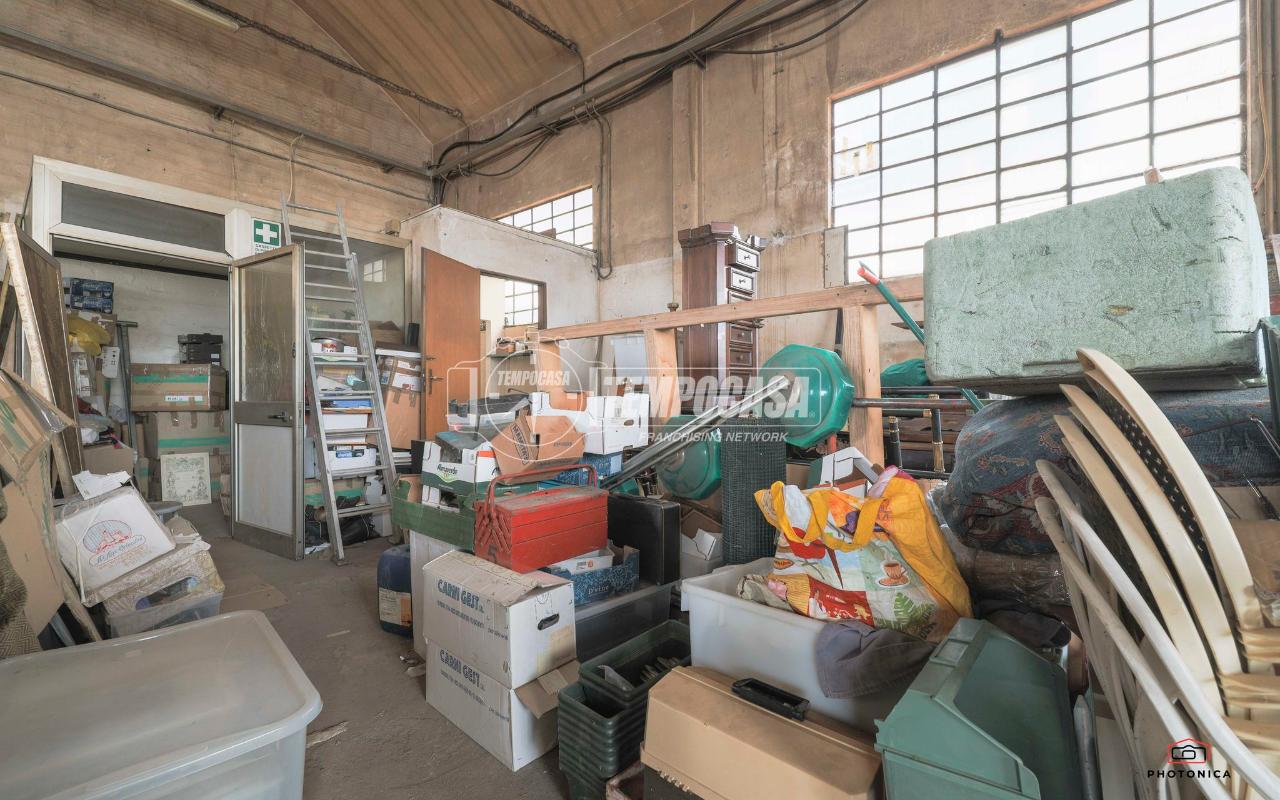 immagine annuncio 9 di 15