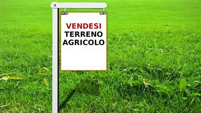 Terreno agricolo in vendita a Cervarese Santa Croce