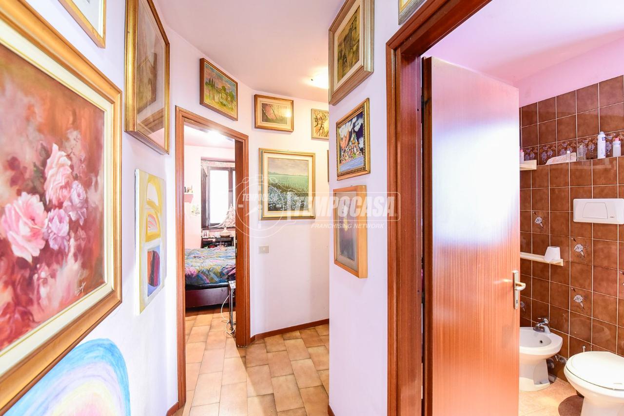 immagine annuncio 9 di 14