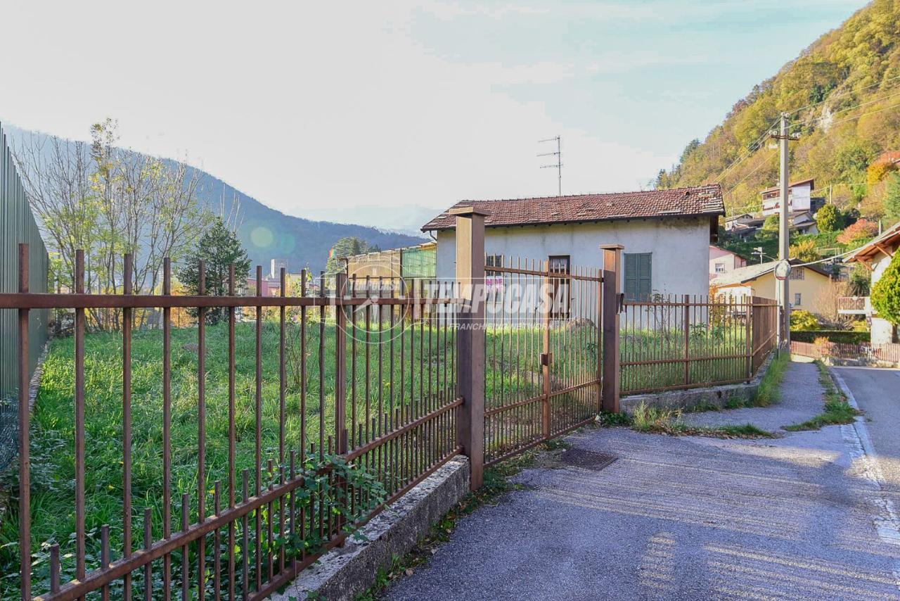 immagine annuncio 10 di 12