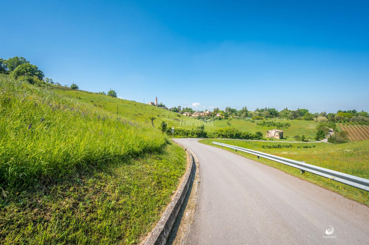 Terreno agricolo in vendita a Savignano Sul Panaro