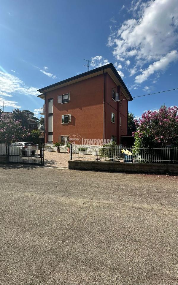 immagine annuncio 5 di 11