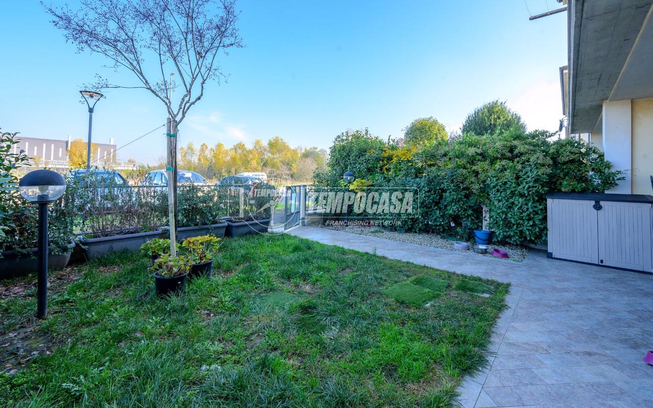 immagine annuncio 3 di 11