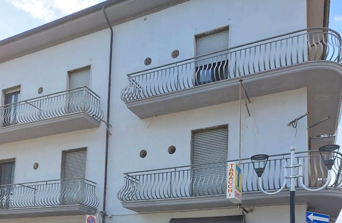immagine annuncio 12 di 14