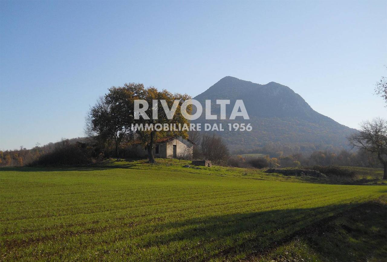 immagine annuncio 3 di 7