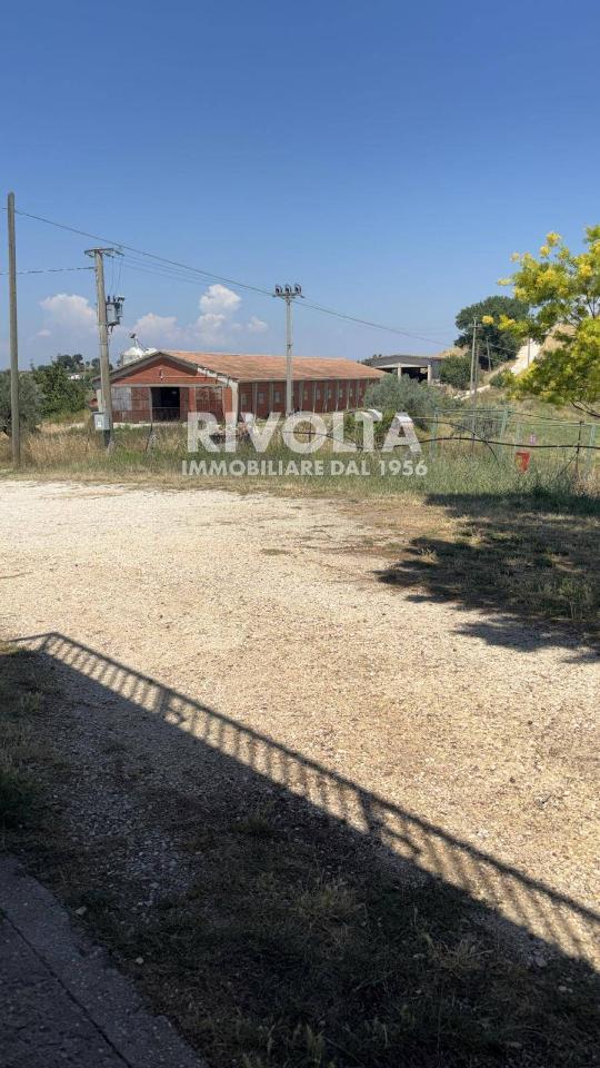 immagine annuncio 5 di 7