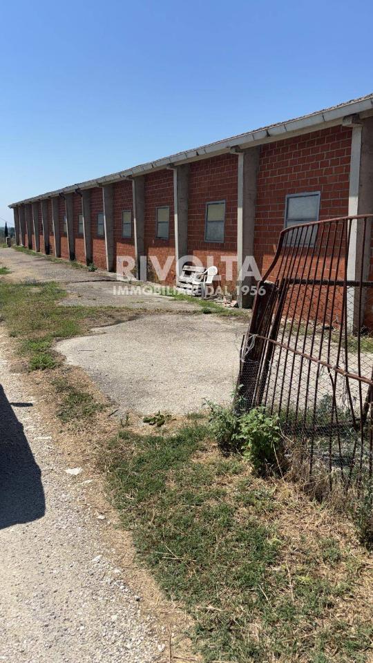 immagine annuncio 3 di 7