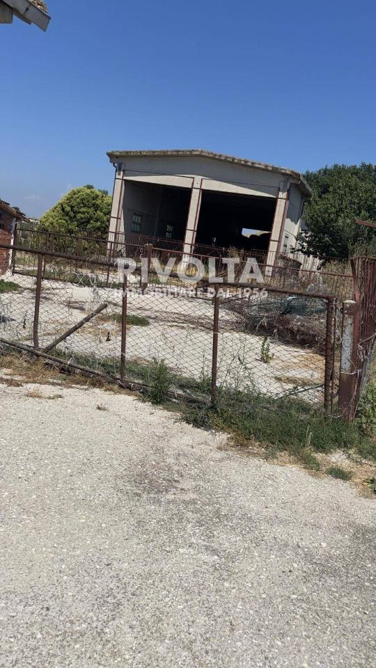 immagine annuncio 4 di 7