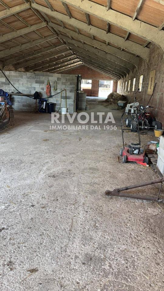 immagine annuncio 6 di 7