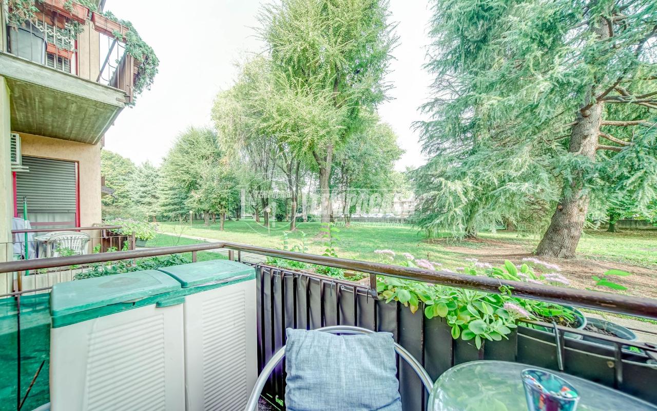 immagine annuncio 7 di 15