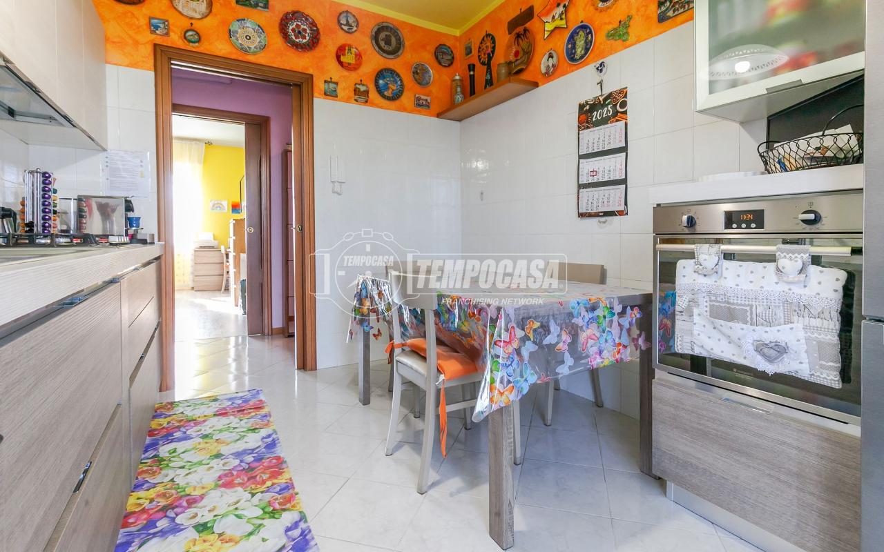 immagine annuncio 7 di 15