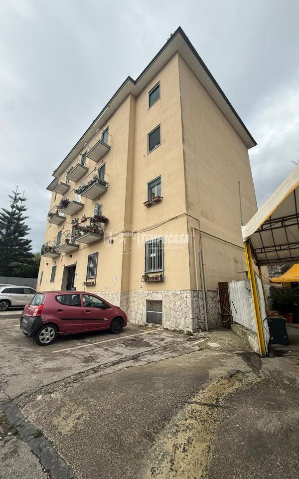 immagine annuncio 2 di 6